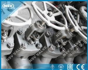 بی بی جعلی گیٹ والو