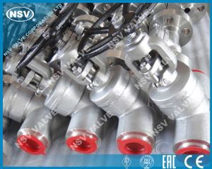 ڈبلیو بی جعلی گیٹ والو