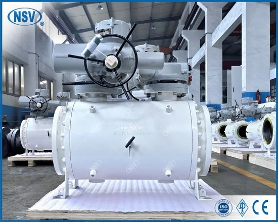 DSC3493 DSC3493
